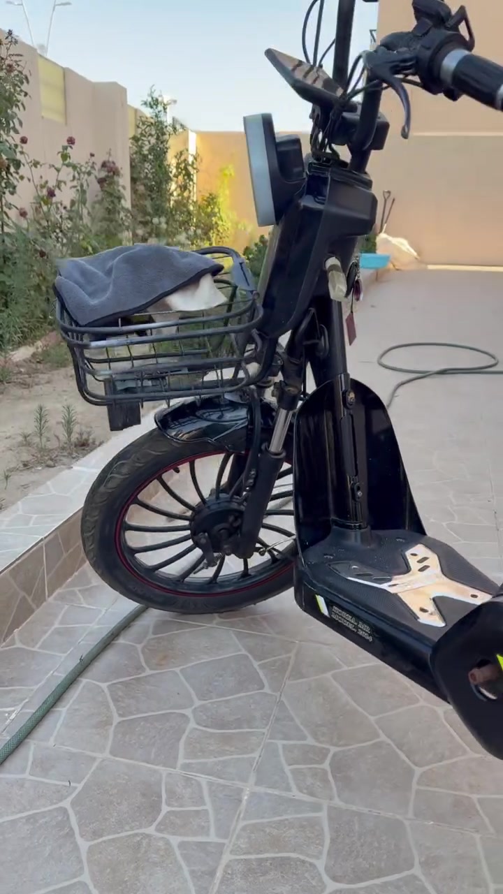 دراجه شحن نضيفه استعمال قليل يحتاج بطاريات يمكن بطاريات اثثثثثثنين لان بطاريات من تحترك ميحتركن كلهن مكاني كركوك


**إذا كنت صاحب هذا الإعلان وتريد حذفه لأي سبب، رجاءا أرسل رسالة إلى الدعم الفني**