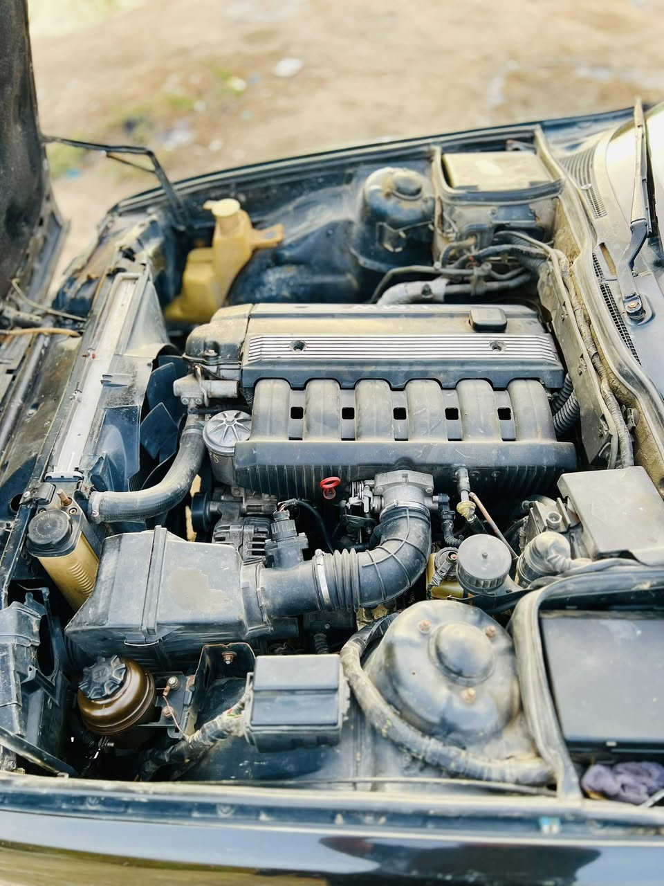 من رخصة الادماً BMللبيع 525مكينة فانوص رقم اربيل سنويه ساقطا السعر 60وبيه مجال العنوان البصرة الهارثة للستفسار رقم ***********
