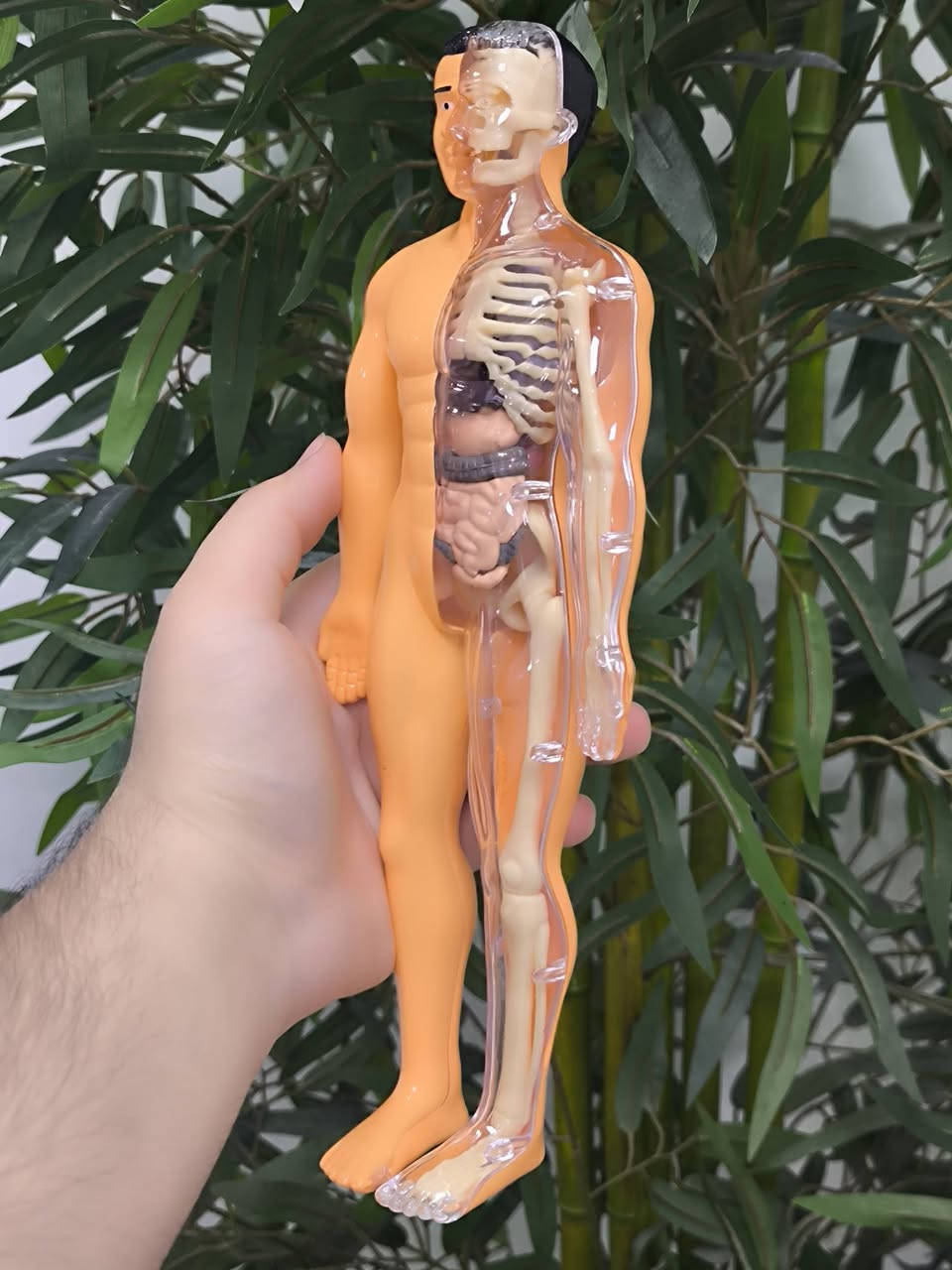 مجسم طبي متكامل 🛑


**إذا كنت صاحب هذا الإعلان وتريد حذفه لأي سبب، رجاءا أرسل رسالة إلى الدعم الفني**