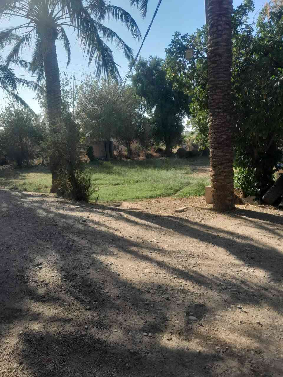 التفاصيل26 دونم سند 25 زراعي الزبيديه وجه شط وشارع ٥٠ /٢٥ دونم /سند ٢٥ تحويل ثاني يوم السعر 30مليون الدونم  وبيه مجال قليل وبيه بيت ٢٠٠ متر وماطور كهرباء ٣٠ حصان مجاز للاستفسار على رقم ***********
