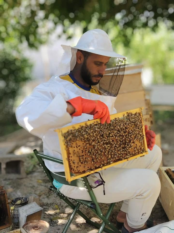 ⸻
🐝 ملكات نحل بكفاست ملقحة للبيع 🐝

متوفر لدينا ملكات بكفاست ملقحة تلقيح 26/6، جاهزة للعمل داخل الخلية.

✅ ملكات ملقحة تلقيحًا طبيعيًا.
✅ مناسبة لإنتاج العسل وتكوين طوائف قوية.
✅ يمكن بيعها مع النوية، وهي خيار ممتاز للمبتدئين ولمن يرغب ببدء مشروع تربية النحل بسهولة.
✅ ملكات سليمة وجاهزة للإدخال.

🍯 متوفر البيع:

الملكة وحدها.
أو الملكة مع النوية (حسب الطلب).

📩 للحجز والاستفسار الاتصال بالرقم : ‭***********‬
