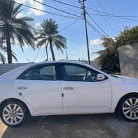 ٢٠١٠ • كفالة • كربلاء