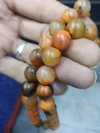 للبيع • حلال • قيم