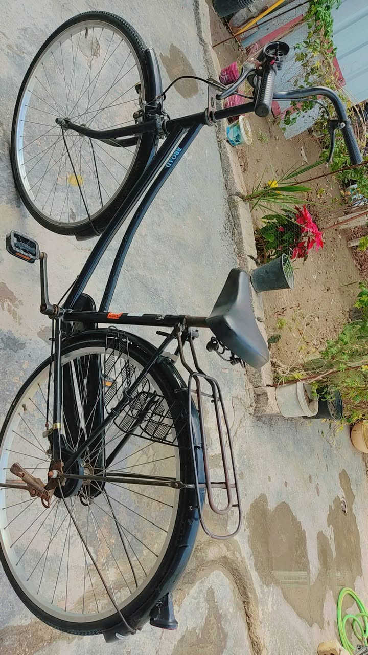 السلام عليكم بايسكل ياباني حجم 27 مكفول من الصبغ مختم جديد او نضيف جاهز من كلشي تايرات بريكات جاهز من كلشي السعر 80 وبي مجال قليل مكاني كربلاء ***********
