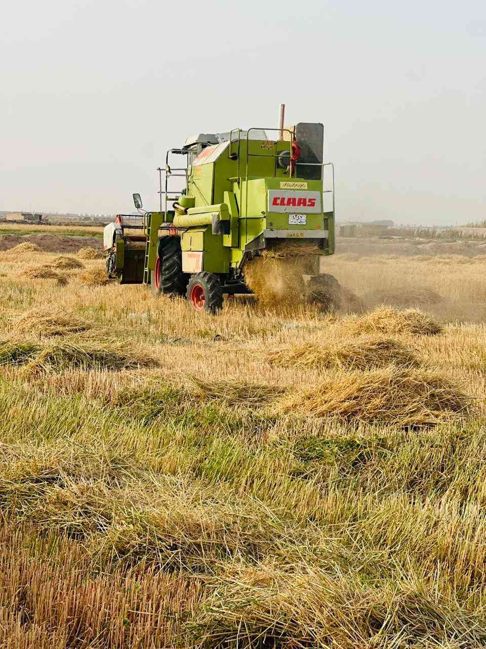 حاصوده كلاس 2003 مديومه وجاهزه مكفوله وموصفاته حلوه الشراي يتصل ***********
