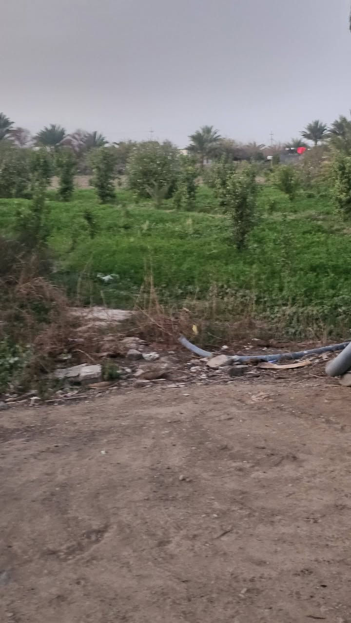 السلام عليكم ارض زراعيه دونمين ونص طابو سند 25 شاطيه يوجد فيها من 50_60 شجرة تين ماء رساله و كهرباء و طريق خاص بهاا العزيزية برينج
للمعلومات اكثر اتصل 
***********
0773242755
