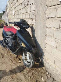 دراجة فراشة • فحل • مجهولة العطل