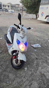 سكنس فحل للبيع السعر ٦٠٠ الف مكاني بغداد الغزاليه 07826510650