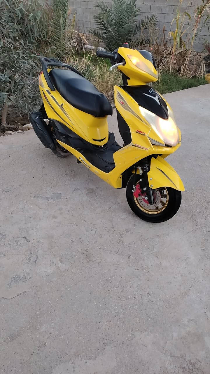 السلام عليكم شباب دراجه  سكنس فحل مديل 24 جاهزه نكره سلف هندر كرهبيات بريكات دسك تواير باتري كله جاهزه وسريعه كلش وناعمه الله شاهد دراجه خير من الله السعر 400 وبيه مجال عنواني قضاء الرفاعي *********** واني بل خدمه
