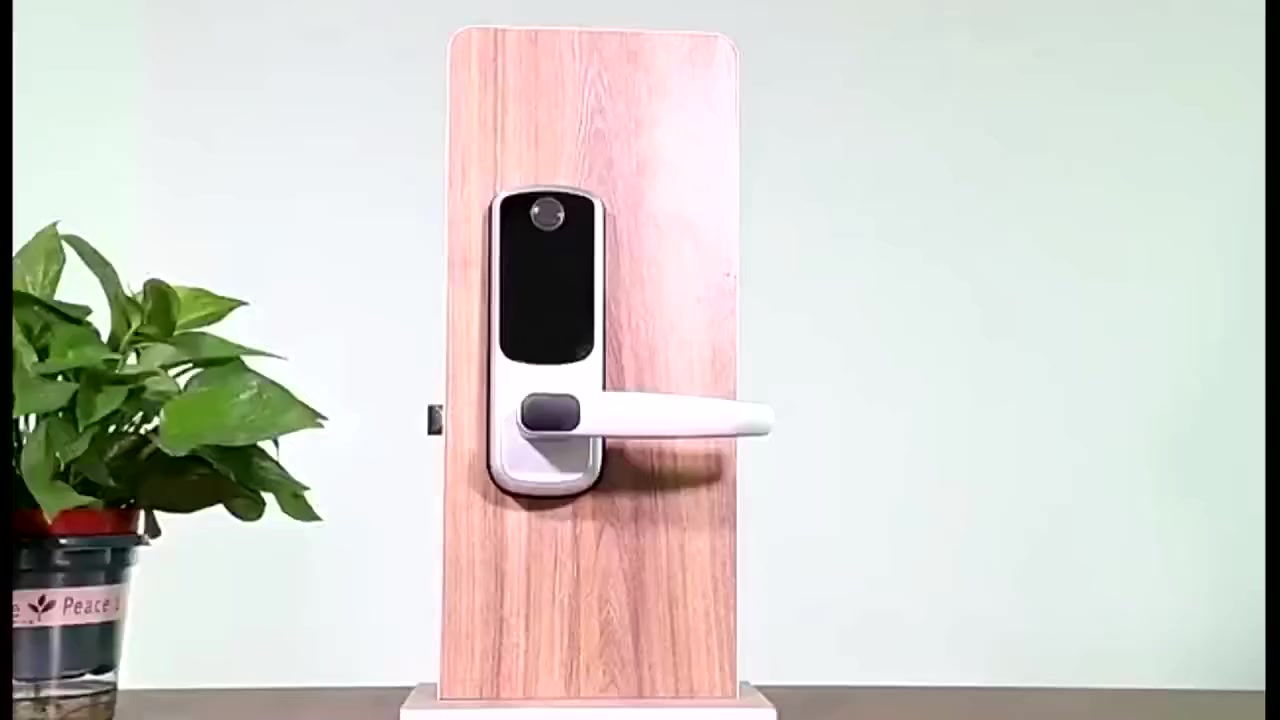 كيلون سمارت يفتح بالبصمة والمفتاح وباسوورد وبلوتوث وبطاقة ذكية


**إذا كنت صاحب هذا الإعلان وتريد حذفه لأي سبب، رجاءا أرسل رسالة إلى الدعم الفني**