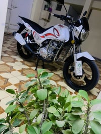 سنكي • جديد • موديل ٢٥