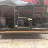 غساله اوتماتيك ١٨ • قفص خشب دجاج كبير • صوبه نفطيه شيشه مكسوره