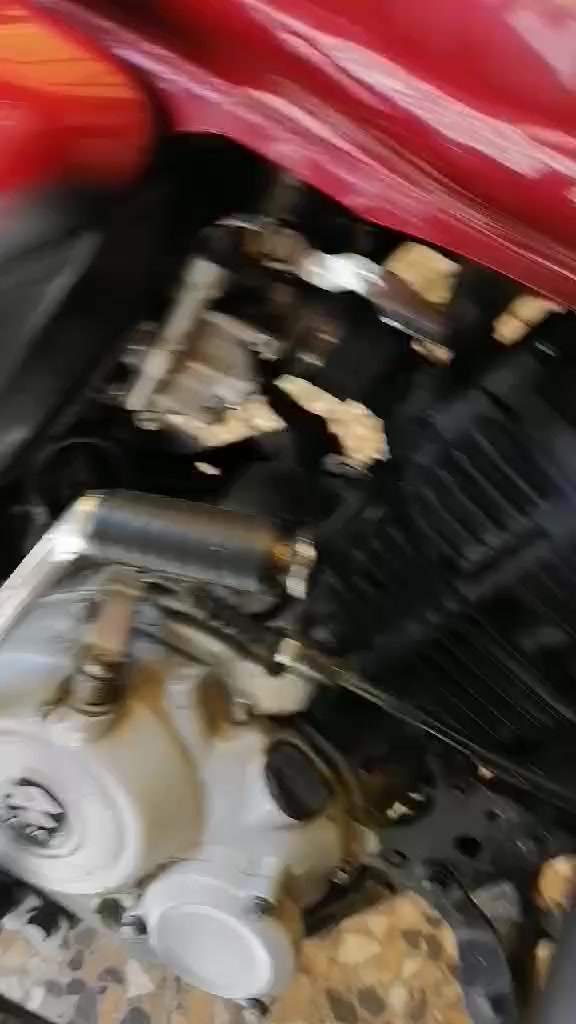 سلام عليكم بوكسر 2019 نضافه واضحه كل شي موضح الك ما كفلك برغي بيها اوراقها بالصور ناشرهن مكينه داخلها كله جديد  بس غطاء المحرك ما مبدله اما باقي كله مبدل داخل محرك  دراجه تاخذها تعبر باب  مالتي لا ترجعلي جيب عشره وياك جيب الف ما تفرقلي ابيعلك كوم حديد
نقص خالك بي اشاره لا تتصل كلي شنو وتستفرلي صيام ومالنه خلك وجاي ابيعها لان صار شهرين كاعد ما مشتغل وجاي روج بي لمشروع جديد بفضل الله ونجاح ربك 
مهم خالو حبيبي نحجي عل دراجه نقص ستان دشبول وبنزات  تمشيك بس خلصانه اوراقها موضحه ماكفلك بترقيم ولا اي شي صاحبها الرئيسي ما عرفه بس ثاني صاحبها متكاتب وياه مكاتبه عاديه مو مروريه يم مكتب موضحه بصوره غراض كلهن ويه دراجه ابيعهن حتى تتوكل للشغل بيهن راسن مضل دايخ بيها وسمعات ايربود هم وياهن اصليها 
راسن تاخذ منا تتوكل على باب الله منا  السعر بدون عنله ولا تخابر ولا تسال ولا خاطر جيتك ولا خاطر لو فلوس بايكهن مداينهن ما يهمني  هذا شي اخليك على راسي قفله 950 تلكي احسن تلكي انضف تلكي شكال الوان هاي دراجه على ايدي اخذتها كايمه بوكتها ب850 دفع وعمرتها وكملتها. واليومك الحمد الله اني عتني ورتب وبدل  بس الهنا وونتوقف بالدلفري بسبب العمر والحيل مو مثل قبل والخلك راح دراجه 950 الف قفلها عنواني الحسينية الراشديه *********** رقمي بي واتساب تريد تشتغل اخذها وتوكل بشهر طلع ابو فلوسها دراجه مرتبه  لا تخابر وكل مقريت منشور وما اعرف شنو سده بوجهك راسن صيام ومالنه خلك مو شراي لا تتصل ولا تخابر ولا كلي شبيها وهلكد هس اجيك بايعهن ذن من 18 سنه  اول مشتغلت دلفري بالتوفيق للجميع وعسى الياخذها يتوفق وياخذ سياره والله يوفقها ويخلص من دلفري توفيق للجميع 
#
