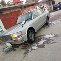 ارنب بترا • ١٩٩٤ • بصره ابو الخصيب