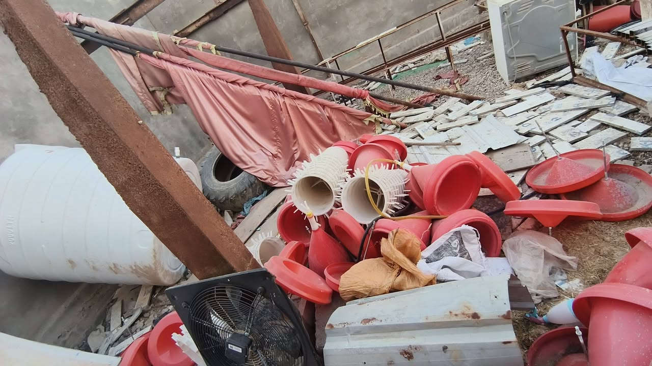 سلام عليكم غراض مال حقل للبيع عازل السعودي عرض الفه متر  و٢٠سم وطول الفه ١٤ متر عدد ٣٠الفه عازل باب بلاستك جديد مفرغات ٢ ام٧٠ جدد وحد ام ٦٠ مستخدمه ضفيره ٤اغطوط ام ٢٥جديد مناهل عدد ٣٠ علافات عدد ٣٠ مخطوره ام طنين مستخدمه وجبه واحد ومخطوره نص طن جديد حاضنات عدد ٢سيم ٥٠ كيلو حديد عل شكل اقواس ١٠ قواس اتريده جادر اتريده حقل ولقواطع مالته موجود:  فيس مامتواجد اي ستفسار رقم الهاتف ***********
ماكني بصره قضاه المدينه
