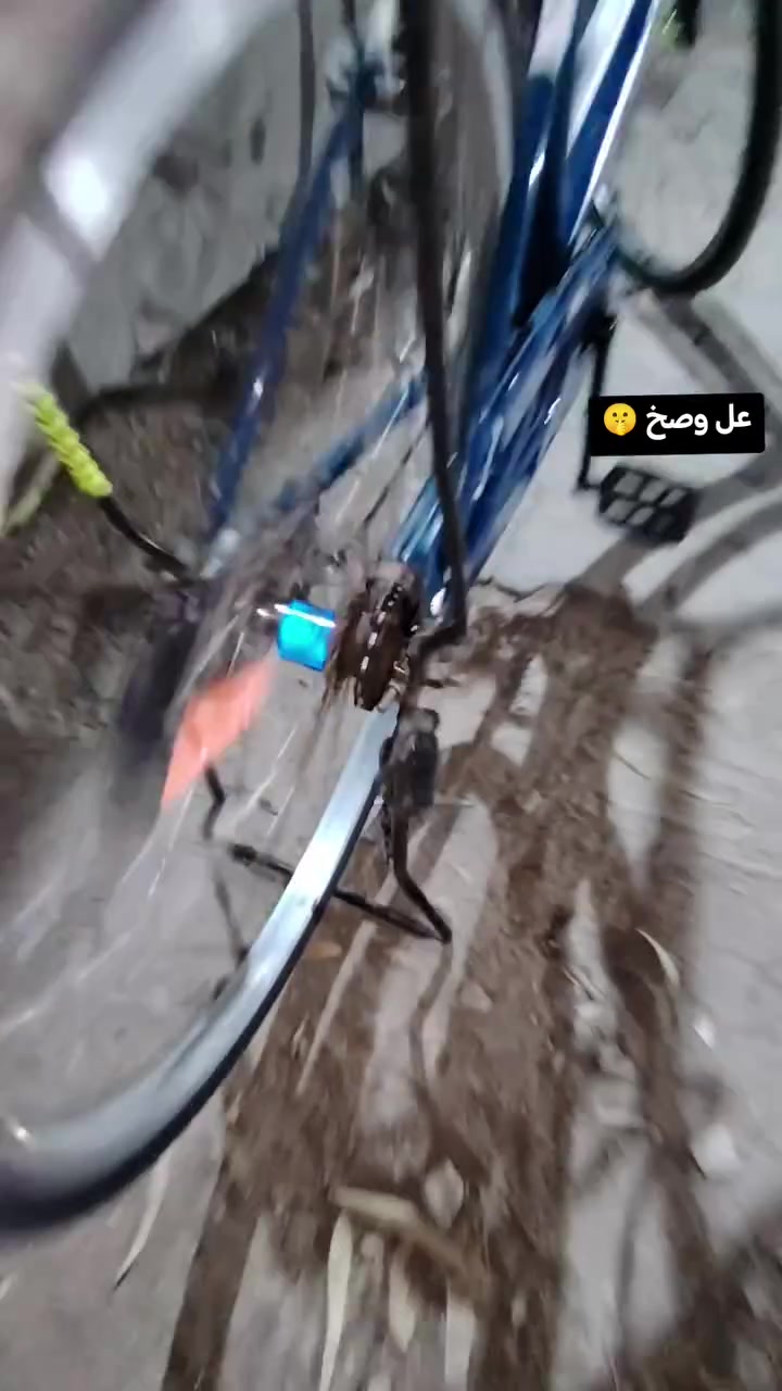 ⭐للبيع مال مستعجل ⭐
⭐المديل 18 ⭐
⭐حجم 26 ⭐
⭐جاملغات موجودات ⭐
⭐صنيه نضيفه بيهه ضربه⭐ ⭐وحده⭐ خفيفه⭐ 
⭐السعر خاص ⭐


**إذا كنت صاحب هذا الإعلان وتريد حذفه لأي سبب، رجاءا أرسل رسالة إلى الدعم الفني**