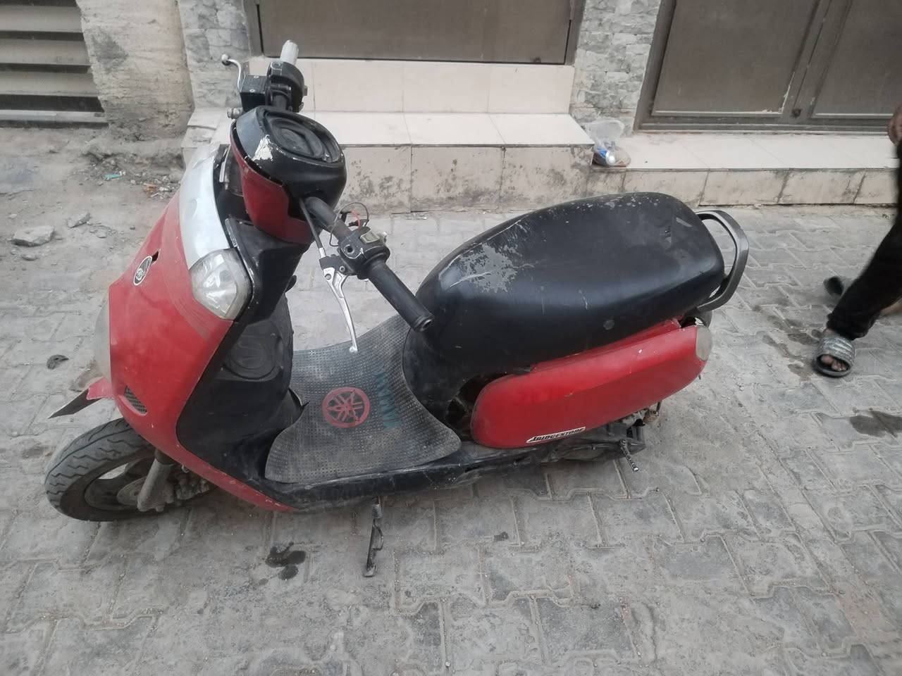 للبيع او مراوس بدراجه بطه منغولي ***********
***********
بحي النقيب
