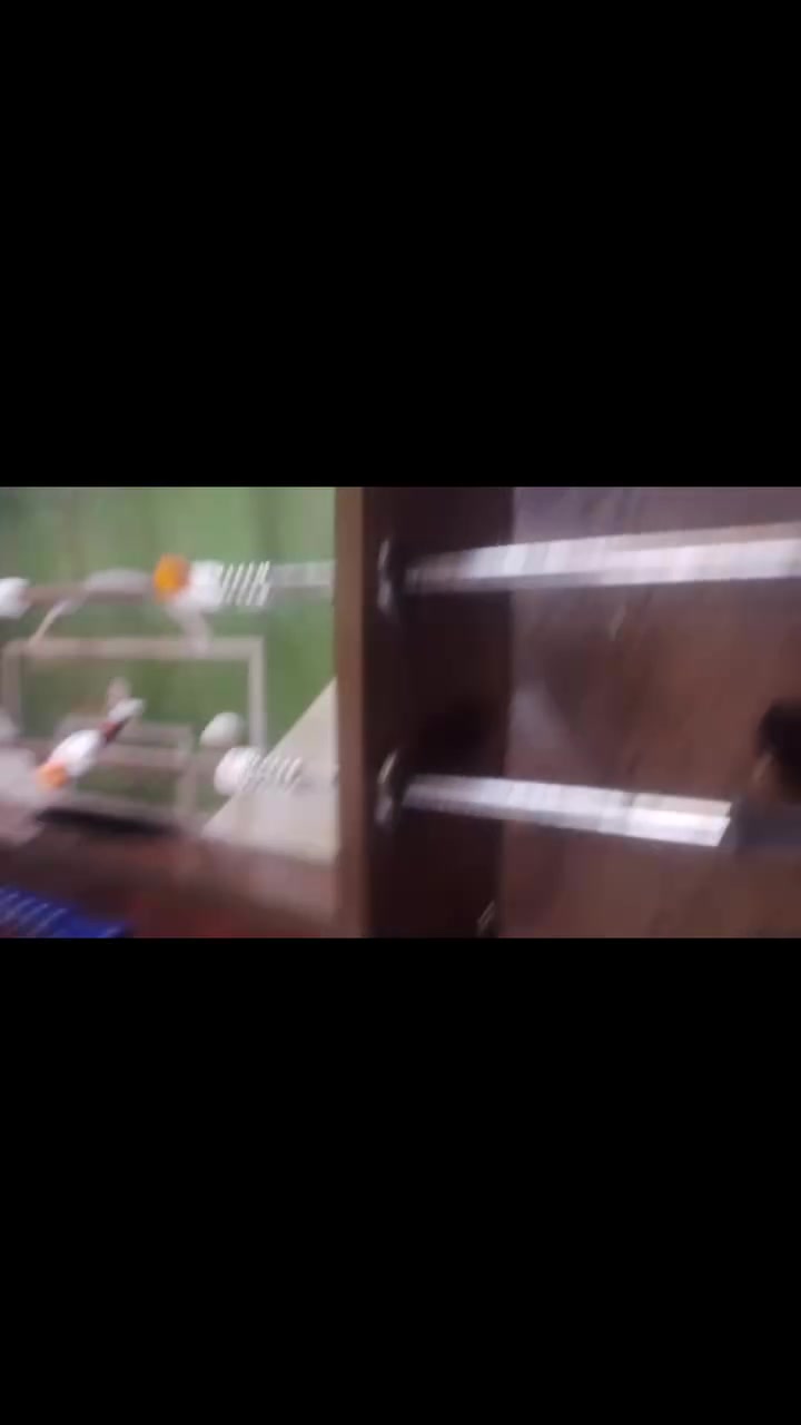 فيشه جديده ما مستعمله ،،300 قفل الحجم الكبير


**إذا كنت صاحب هذا الإعلان وتريد حذفه لأي سبب، رجاءا أرسل رسالة إلى الدعم الفني**