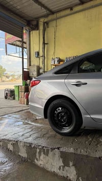 ويل سوناتا • اصلي • اسود