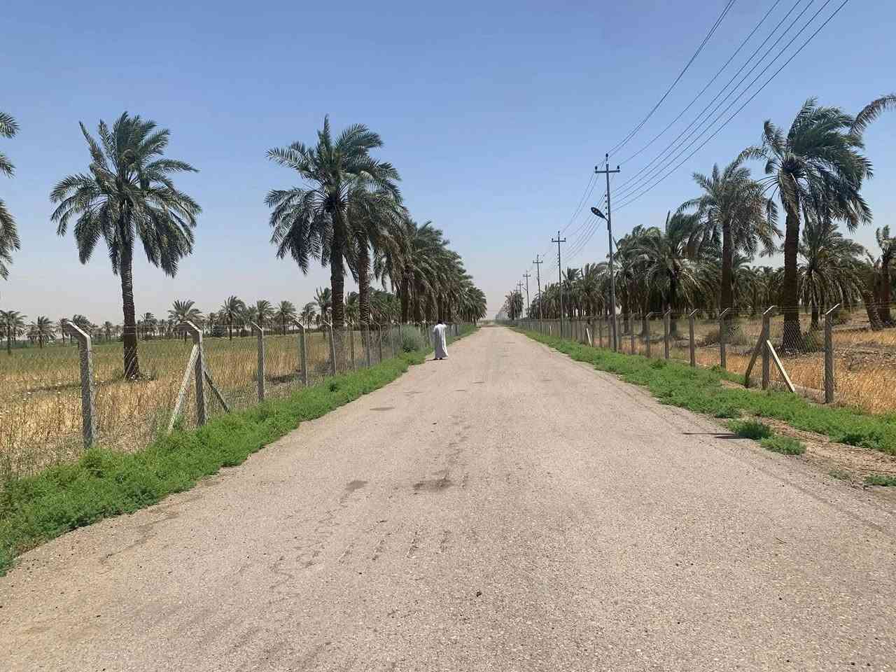 البيع ارض ١٠٤٣ دونم طابو زراعي سند ٢٥ تحتوي على شاطيتين الشاطية الأولى تحتوي على مضخة ماء و مجرى الشاطية الثانيه   تحتوي على مضخة ماء و مجرى مع دار مع بستان ال ١٠٠٠ مسيج تبليط مع مجاري مع ماء اسالة مع ماء سقي كهرباء كل ١٠٠٠ تحتوي على بستان ٢٠٠ دونم برحي تحتوي على بحيرات ١٠٨ دونم مجازة ال٢٠٢٦ موافق سحب ماء سقي من ٥ مساء ال ه صباحا تبليط ١٠٠٠ دونم الى نهاية المزرعة مع انارة كلها في قضاء العزيزية ابيع كلها سعر الدونم 19مليون بي مجال بسيط
***********
‏‪***********‬‏
