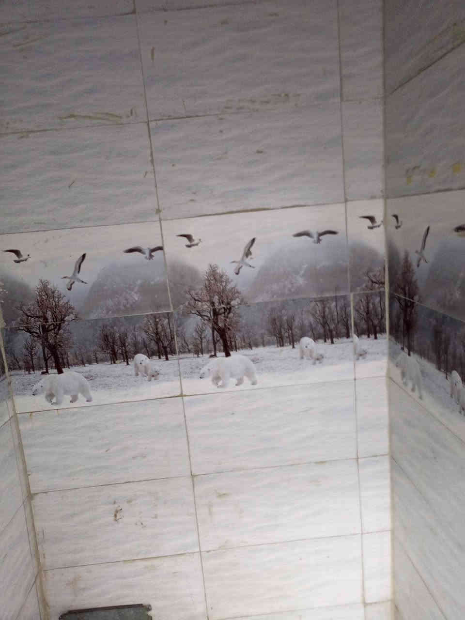 سلام وعليكم بيت البيع 50 متر شارع المطحنه مقابل قريه الغدير السعر 15 ***********
