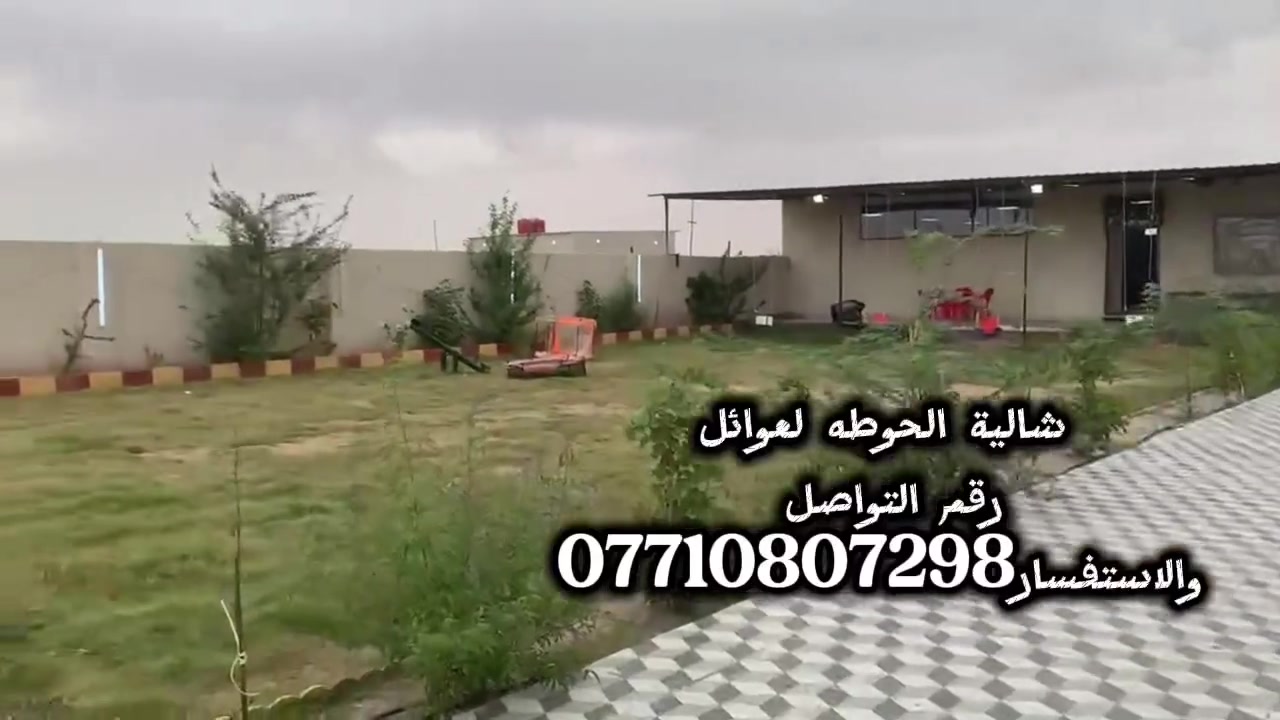 الاستفسار ***********
