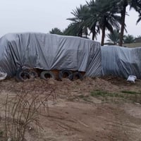 تبن للبيع • بابل حمزه الغربي