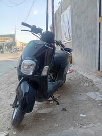 بوليسي • اسود • ديالى