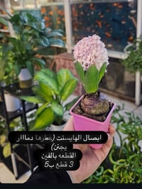 عروض عيد الفطر • توصيل • نهاية شارع الجاير