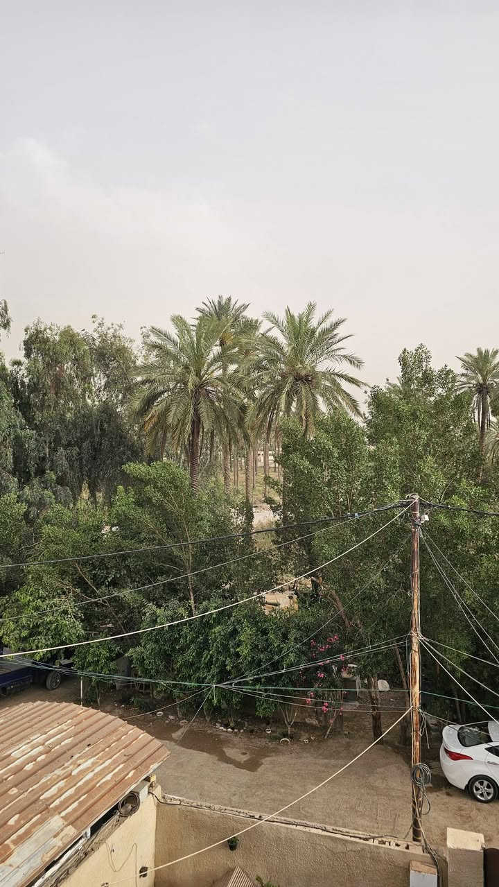 السلام عليكم 🇮🇶للبيع بيت في بغداد ناحيةالراشديه المساحه 220م واقع حال 270م ملك صرف سكني وليس زراعي كل المستندات القانونيه موجوده حتى خارطة البناء . كل الخدمات تبعد عنه مئتان متر مدارس للجنسين من الاول ابتدائي للسادس اعدادي مستوصف صحي صيدليات مركز شرطه . يحتوي البيت على خمس غرف نوم صحيات طهركم الله  ونقاكم واكرمكم العدد ثلاثه حديقه گراج يطل على شارع عرضه 13م البيت بناء الثمانينات لكنه نظيف للاستفسار الاتصال على الارقام الاتيه الليث الحياني للعقار ***********.                                                                          ***********
