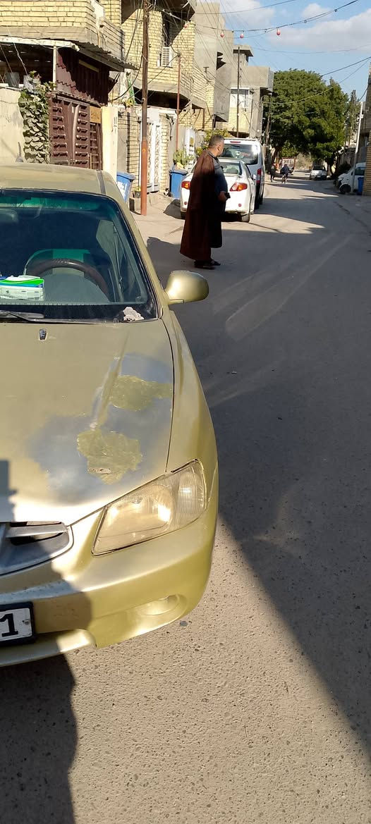 اكسنت موديل الفين بسمي كير محرك مكفول كهربائيات كلها شغاله رقم ديالى الجديد سنوية نهاية ٢٠٢٨ العنوان بغداد زعفرانية السعر ٣٥ ورقة وبي مجال تليفون *********** الشراي يتصل ويدلل بيع او مراوس حسب الاتفاق
