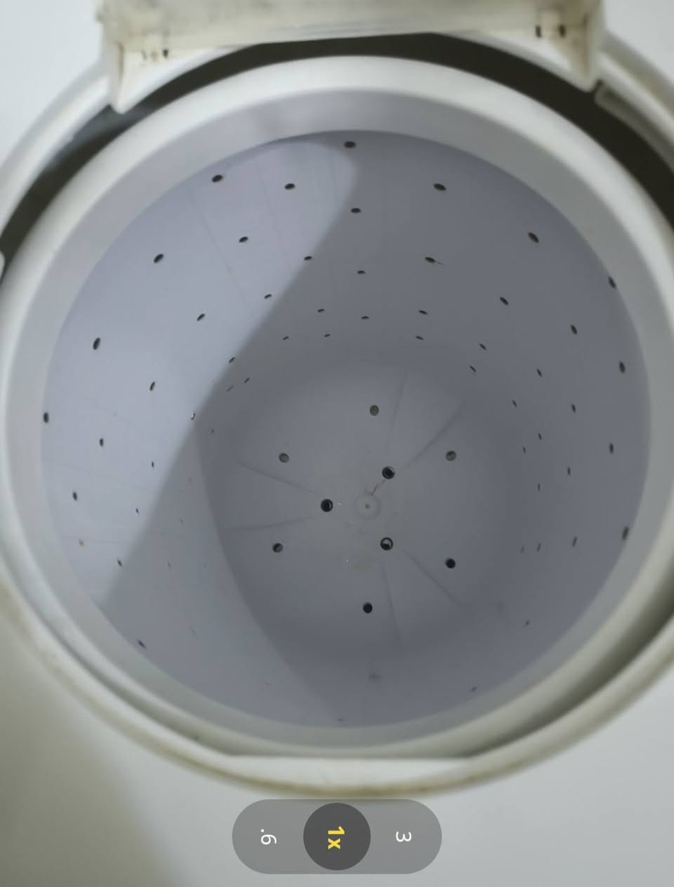 للبيع
غساله حجم جبير (نضافت لجديده مستعمله قليل/شغاله غسل وتجفيف وكلشي ع فحص شرط تاخذهه كامله  شراي يجي خاص اجاوبك


**إذا كنت صاحب هذا الإعلان وتريد حذفه لأي سبب، رجاءا أرسل رسالة إلى الدعم الفني**