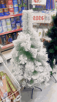 شجرة عيد الميلاد • الدورة حي دجلة • توصيل ٢٤ ساعة