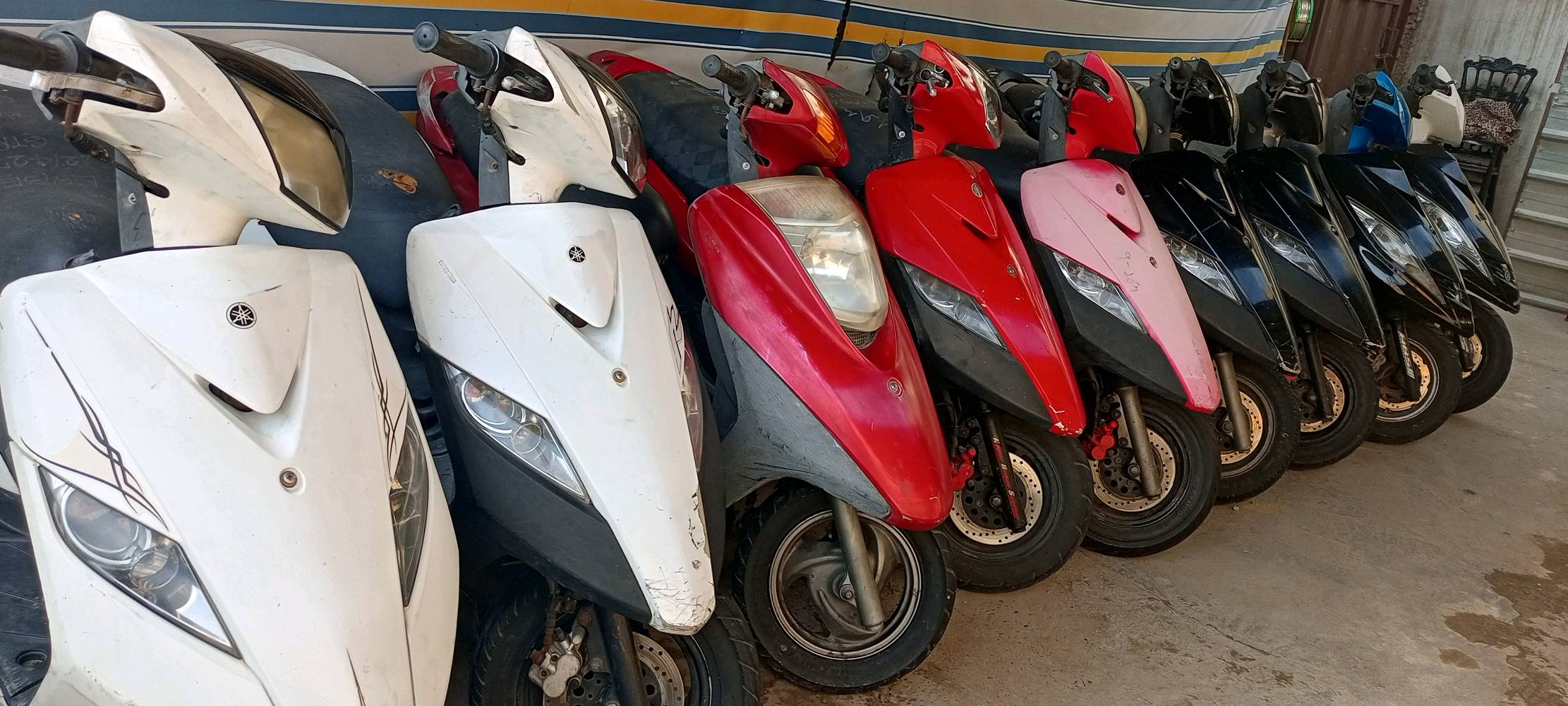 اسلام عليكم وجبة دراجات رمبة كفالة عامه فول نضافة مكاني بغداد شعلة الشراي يتصل 