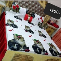 فرشات • توصيل العراق • بابل