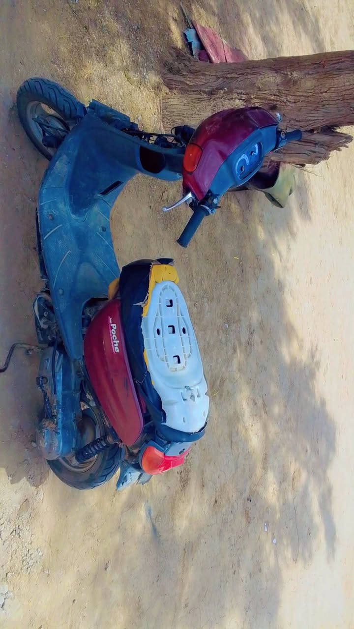 سلام عليكم دراجه منغولي للبيع شغاله سلف هندر سعر 200 او بيها مجال ليشتري يجي خاص او هذا رقمي ***********
