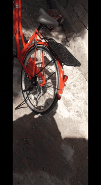 السلام عليكم بايسكل BDاحمر شركه معروفه البايسكل موديل 2021 كفاله البايسكل ياباني اصلي حته كاتبين على الجسد جابان 
للبيع السعر 185الف وبي مجال البايسكل صايرله 5تيام طالع من الحاويه الرقم ***********
