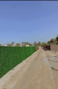 خلف سيطره الابراهيميه • ١٠٠٠م • واجهة٤٠م
