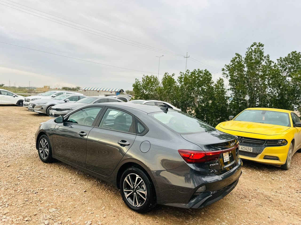 ياالله كيا فورتي موديل 2024 
امرقم شهداء مثنئ وكاله عامه بسم المشتري 
الضرر جاملغ وبنيد تبديل فقط بدون عابر شاصي لغد كفاله راديترات شركه حجر رادار كفاله مواصفات واضحه مكينه 2000 دوش السعرب 142 بيع نقدأ فقط 
اي تفاصيل واتساب ***********
السماوة الرميثه شارع عام معرض احمد ال شمران
