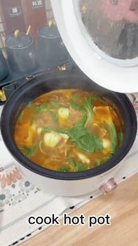 آخر قطعة • كهربائي • طبخ وسلق وتبخير