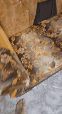 تخم ديوان مستخدم نضيف جدا القاعدة خشب بلوك يحتوي على ٤ كراسي نفرين وزاوية وكرسي ١ نفر قياس ٤ في ٢ متر مكان حي اور جامع الفردوس ***********
سعر ٣٠٠ الف
