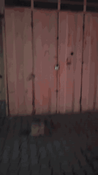 سلام عليكم
محل للايجار بسوك الجديد موقع مرتب جدا 

للاستفسار ***********
