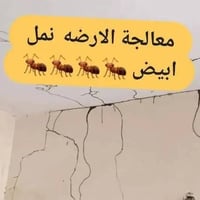 الف رحمة ع امة و ابوه الي يعلقلي مصدر رزقي الوحيد 🥺   07511105228كورك ...