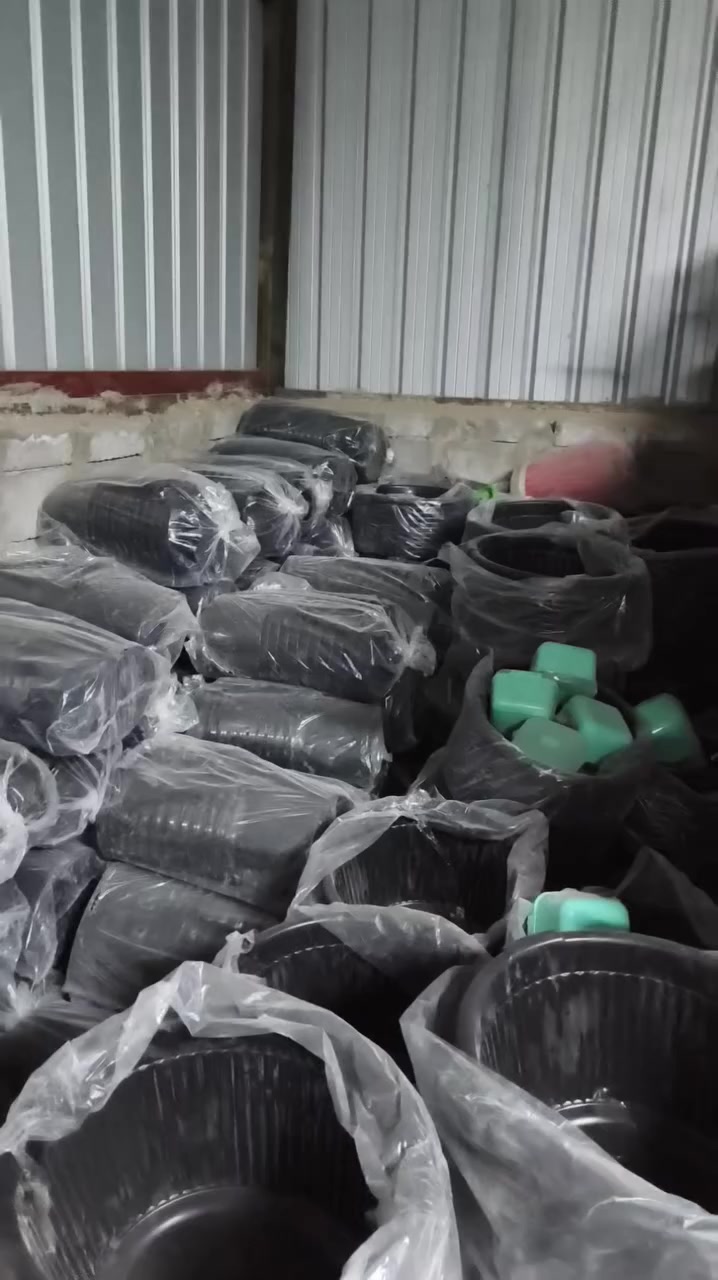 بسم الله تبارك وتعالى

تم وصول سيت حمام 

لدى مخزن البركه بأسعار مناسبه

يوجد لدينا خدمة توصيل

للاستفسار مراسلة الصفحة 
أو الاتصال 
***********
