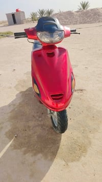 فراشة • كهربايات • مرتبه