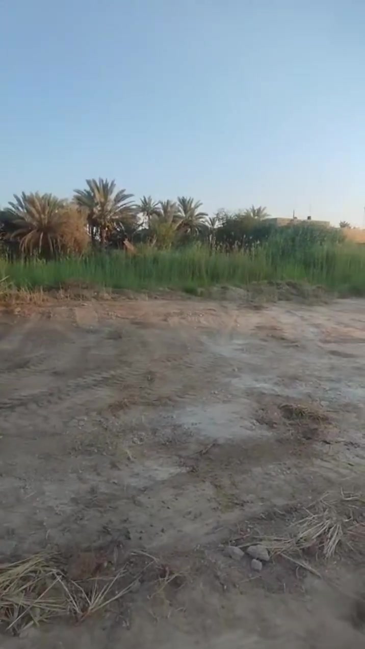 سلام عليكم قطعة ارض 200 متر مربع
سعر مناسب 
سند 25  طابو زراعي تحتوي على ماء وكهرباء 
موقعها طريق  طويريج  كربلاء  عامود 268 نزلة مدرسة ابو الفضل ع
للأستفسار
***********
