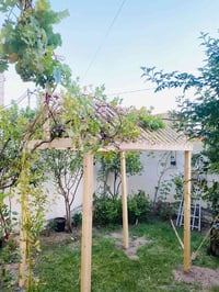 تقليم حدائق • تنسيق حدائق • حدائق • خدمات زراعية • مهندس زراعي • قمريا...