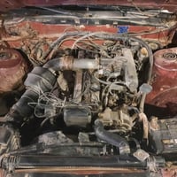 لوريل • ١٩٨٨ • رقم ذي قار