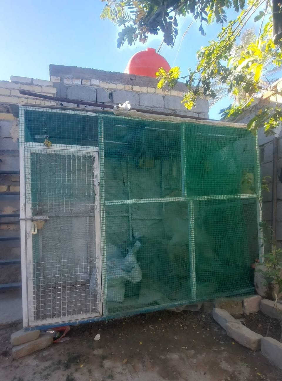 سلام عليكم قفص للبيع متر ب بمترين وربع سعره 50 مكان طويريج


**إذا كنت صاحب هذا الإعلان وتريد حذفه لأي سبب، رجاءا أرسل رسالة إلى الدعم الفني**