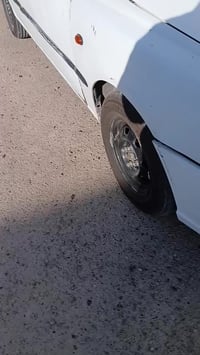 فيرنا • ٢٠٠١ • السيديه